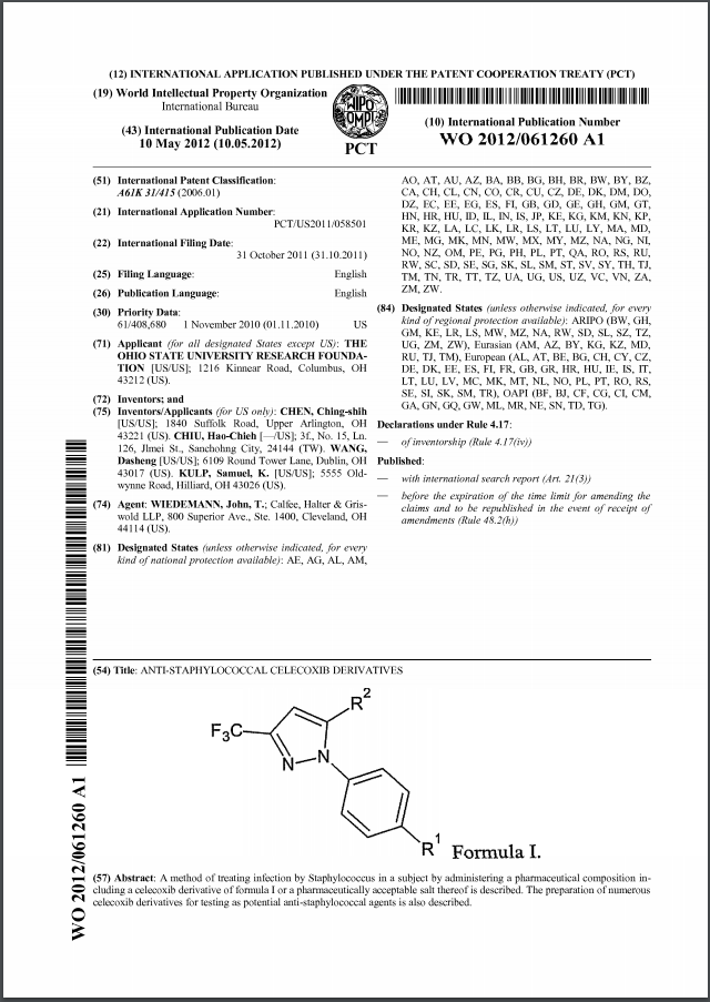 _Formulus-SuggestedReference-PatentPDF.png